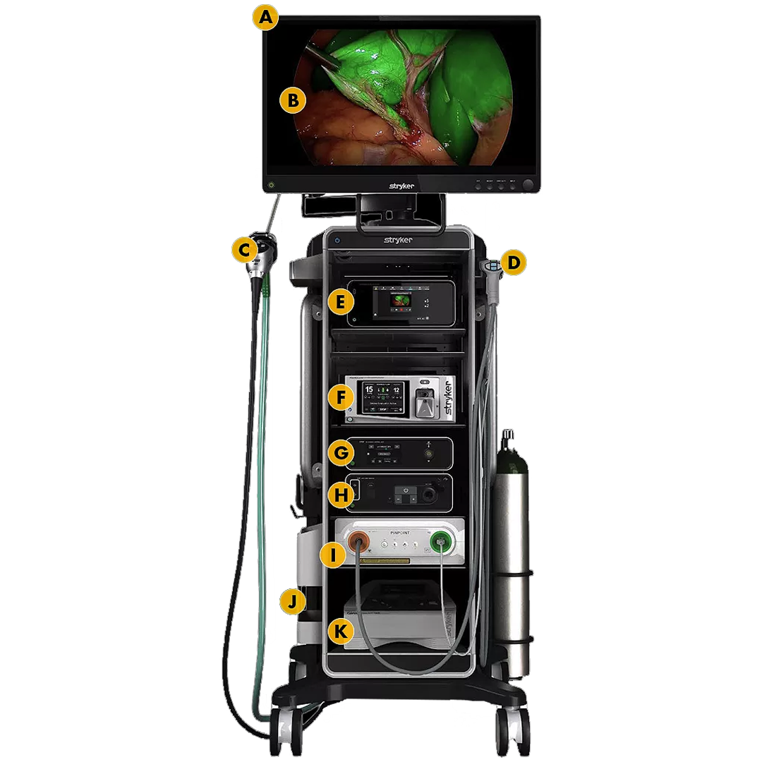 High-Definition Endoscopy System